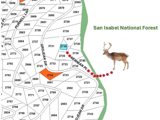 Land for sale in Fort Garland, Colorado