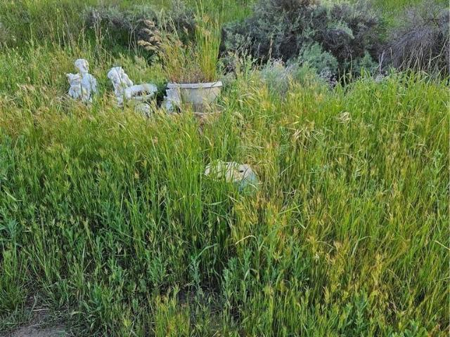 Land for sale in Santa Margarita Ranchos, Riverside County