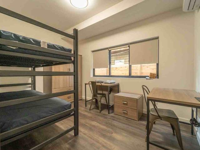 Apartment for rent in Berkeley, California