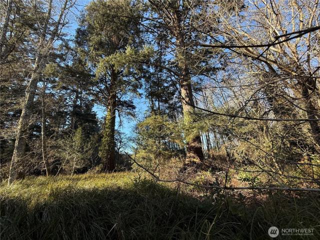 Land for sale in Ocean Park, Washington