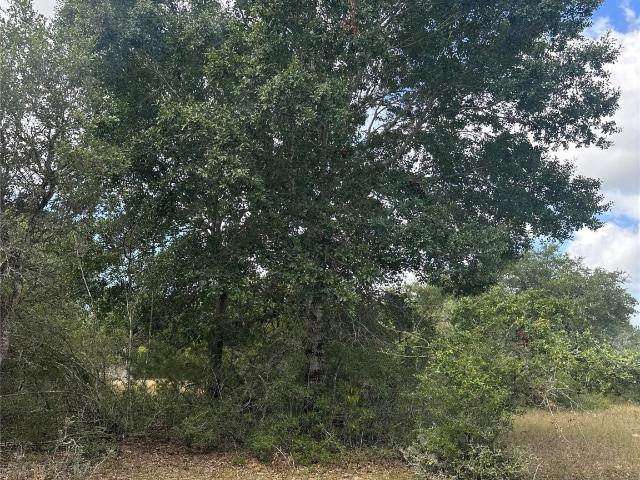 Property for sale in Sheridan, Texas