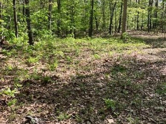 Land for sale in Fredericktown, Missouri