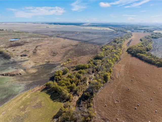 Land for sale in Milam, Texas