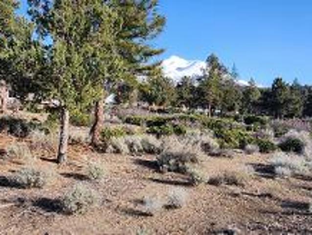 Land for sale in Weed, California