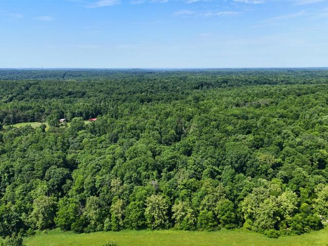 Land for sale in Freedom, Indiana