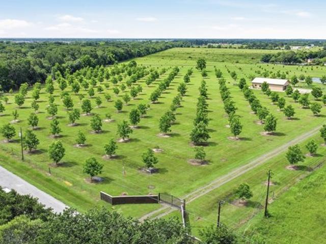 Farm for sale in Rosenberg, Texas