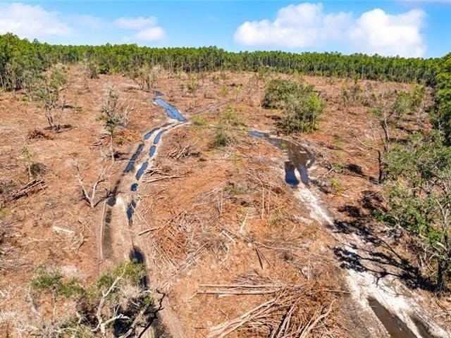 Land for sale in Lacombe, St. Tammany Parish