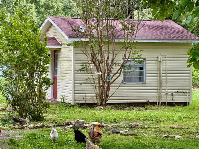 House for sale in Gainesville, Missouri