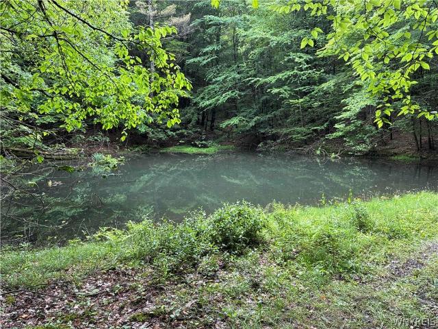 Land for sale in Hinsdale, New York