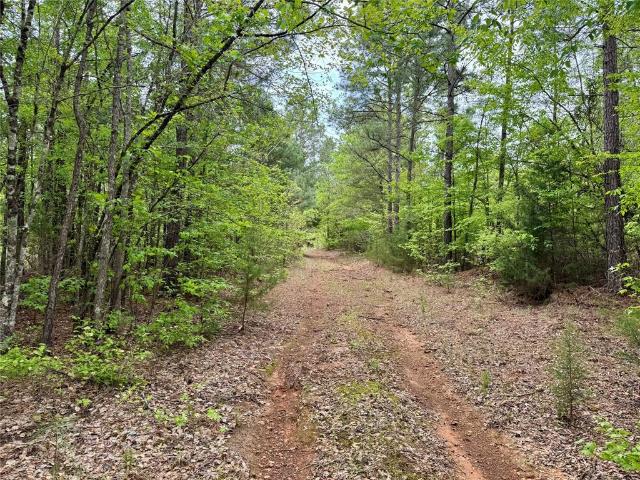 Land for sale in Naples, Texas
