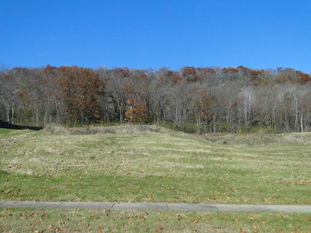 Land for sale in Lake City, Minnesota