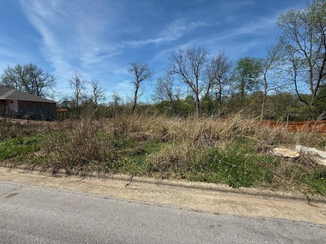 Land for sale in Springfield, Greene County