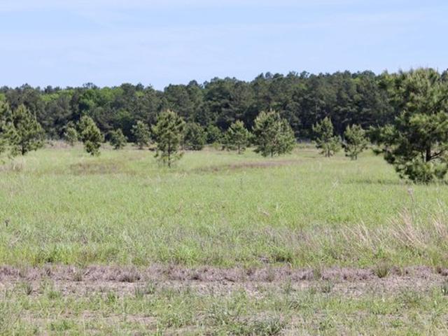 Land for sale in Jefferson, Texas
