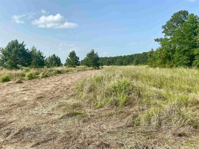 Land for sale in Jefferson, Texas