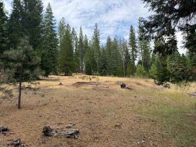 Land for sale in Pine Grove, California