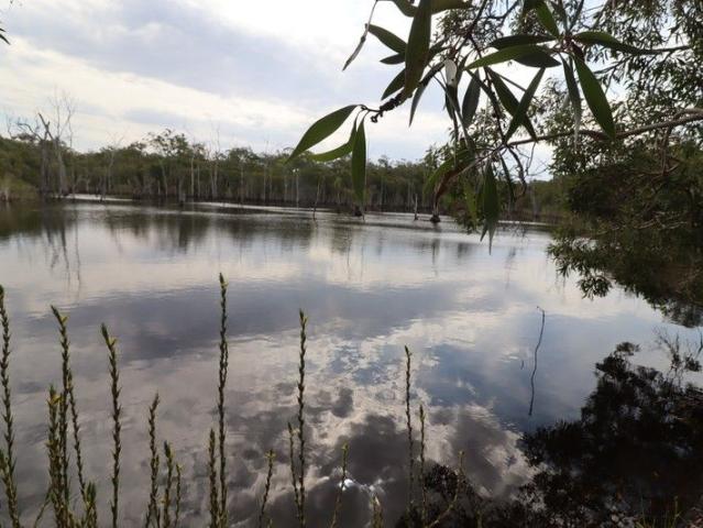 Cottage for sale in Queensland