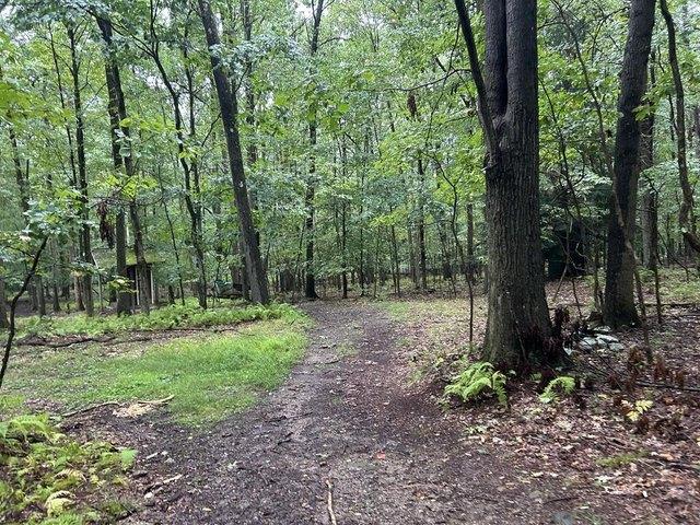 Land for sale in Tionesta, Pennsylvania