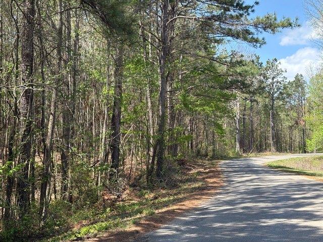 Land for sale in Booneville, Mississippi
