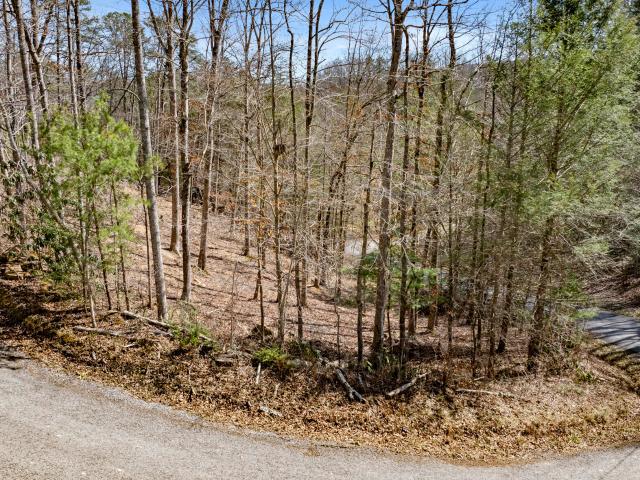 Land for sale in Tennessee