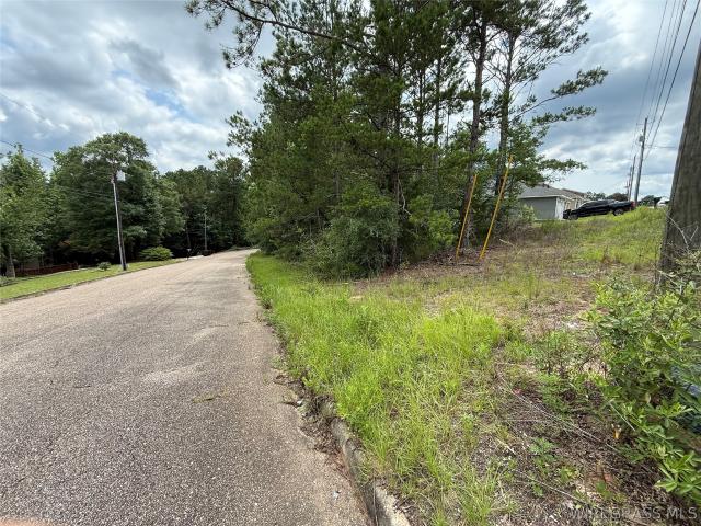 Land for sale in Dale, Alabama