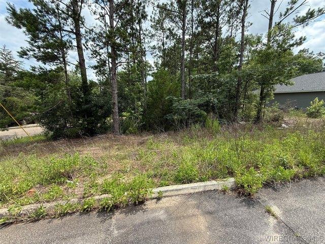 Land for sale in Dale, Alabama