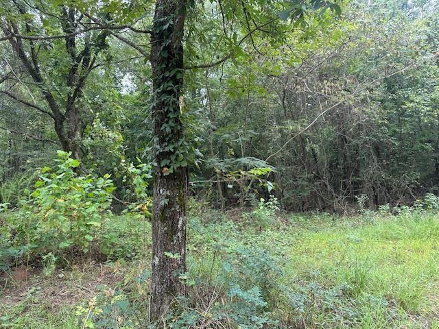 Land for sale in Haworth, Oklahoma