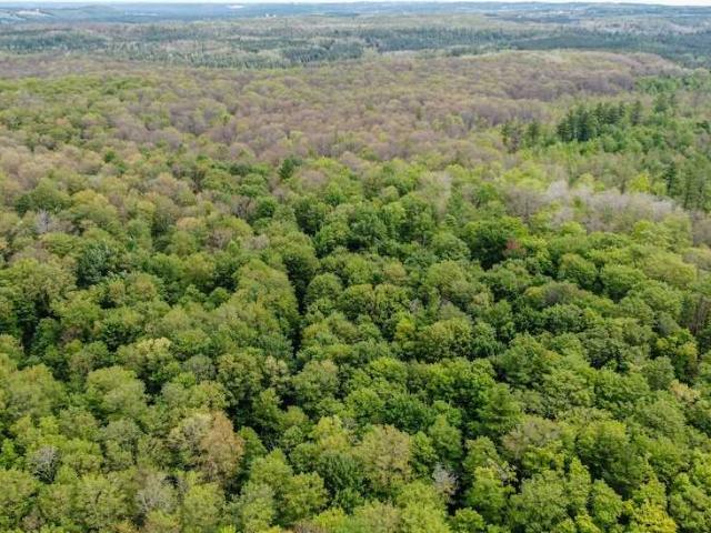 Land for sale in Kawartha Lakes, Ontario
