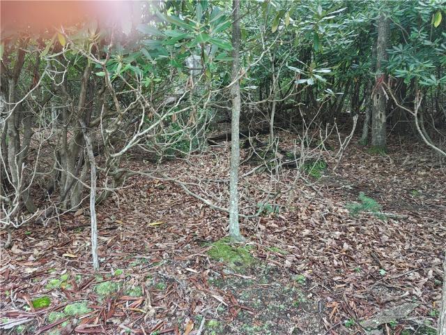 Land for sale in Watauga, North Carolina