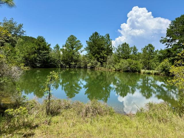 House for sale in Geneva, Alabama