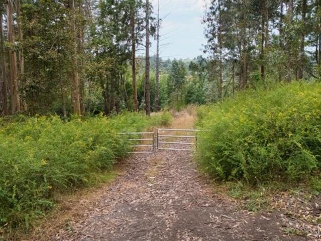 Land for sale in Sebastopol, California