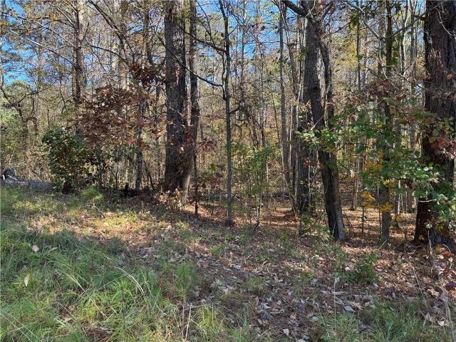 Land for sale in Cobb, Georgia