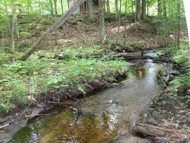 Land for sale in Kalkaska, Michigan