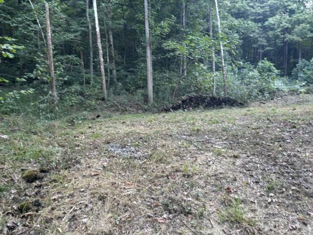 Land for sale in Nipgen, Bainbridge