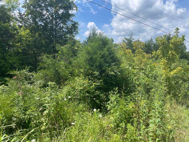 Land for sale in Frankfort, Franklin County