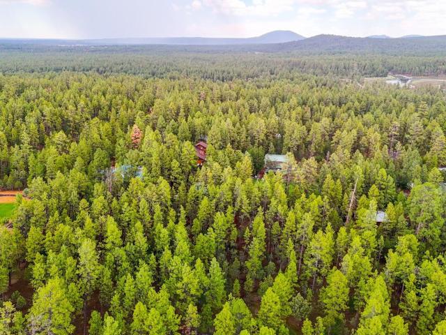 Land for sale in Navajo, Arizona