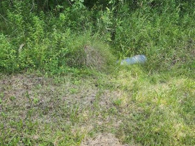 Land for sale in Prescott, Michigan