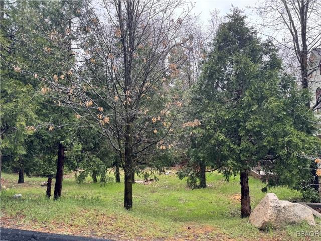 Land for sale in Cedar Glen, California