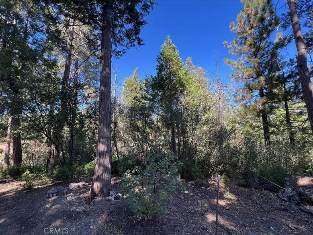Land for sale in Lake Arrowhead Land for sale in Lake Arrowhead