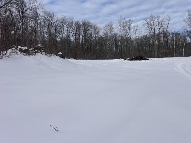 Land for sale in Morrison, Minnesota