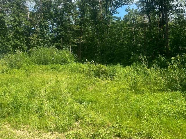 Land for sale in Morrison, Minnesota