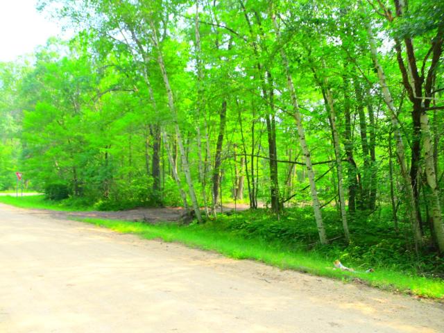 Land for sale in Todd, Minnesota