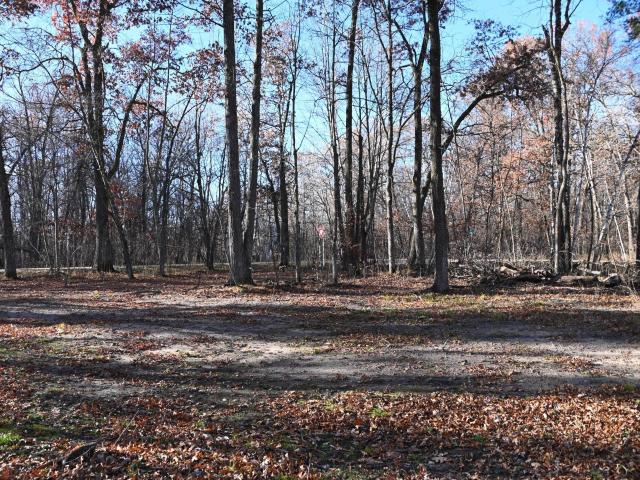 Land for sale in Todd, Minnesota