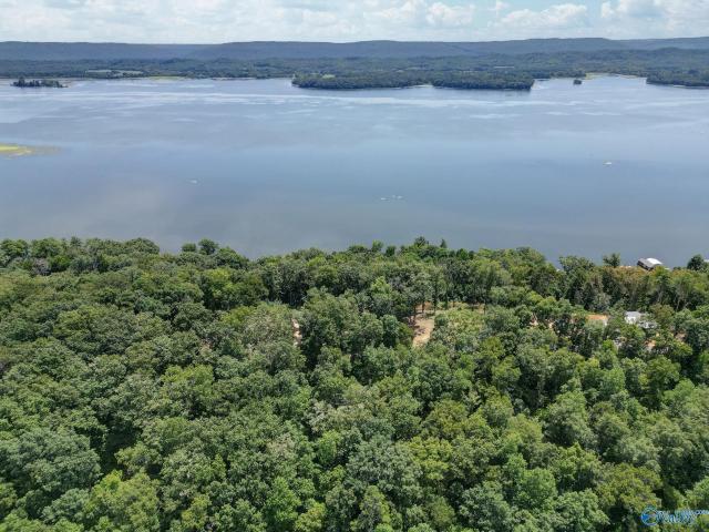 Land for sale in Scottsboro, Alabama