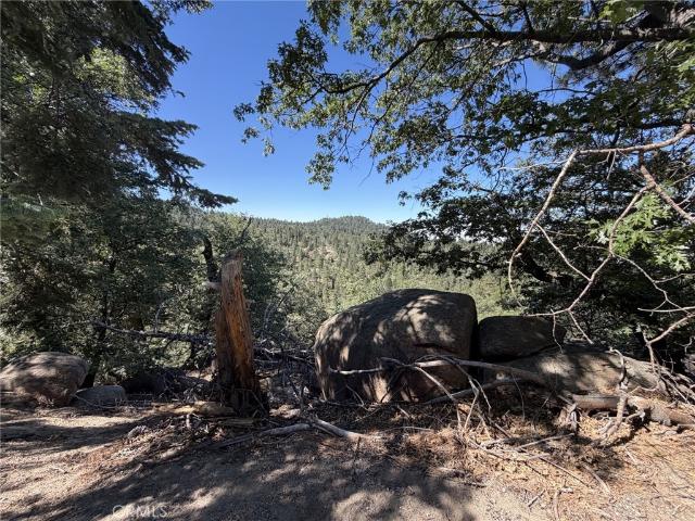 Land for sale in Green Valley Lake, California