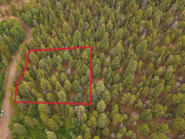 Land for sale in Conifer, Colorado