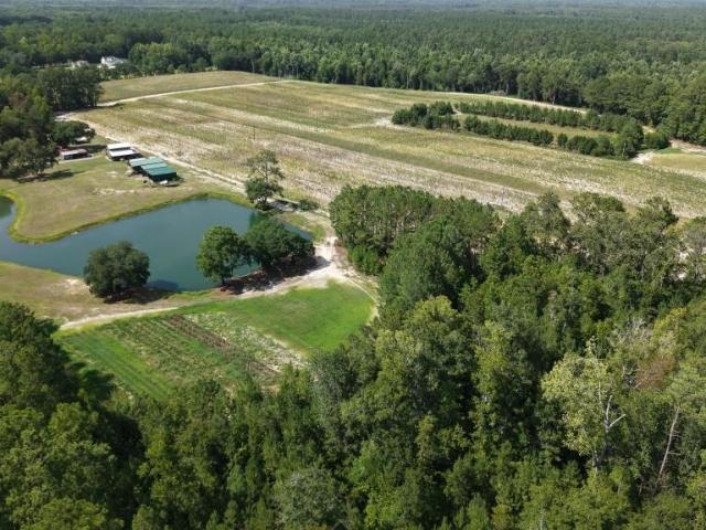 Land for sale in South Carolina