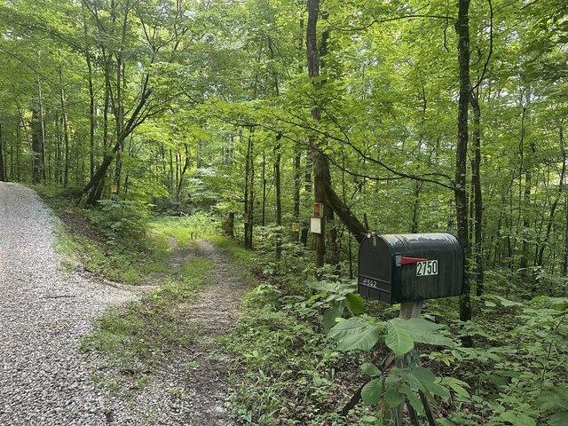 Land for sale in Monticello, Kentucky