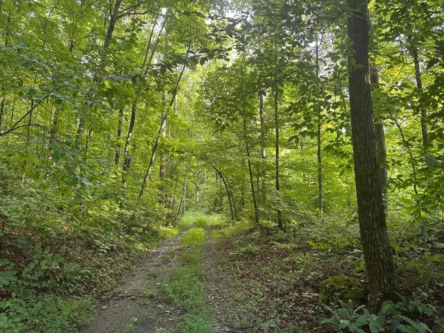 Land for sale in Monticello, Kentucky
