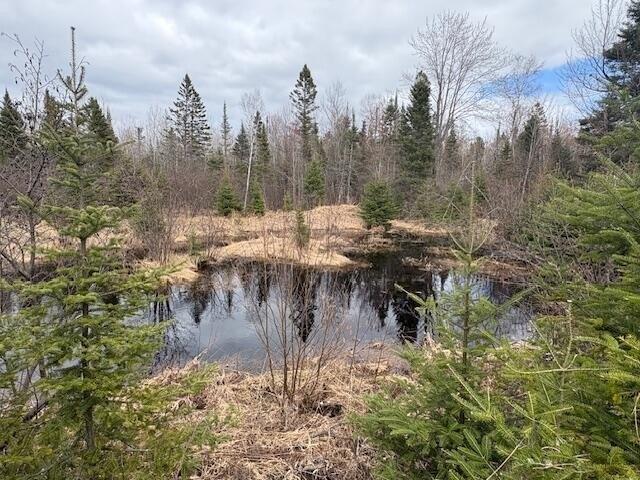 Land for sale in Goetzville, Michigan