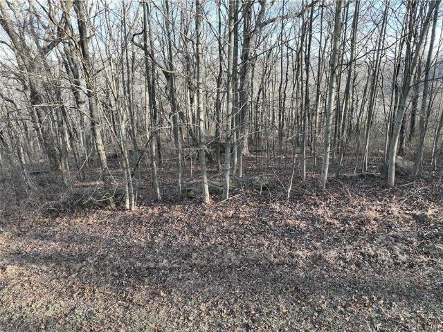 Land for sale in Gilmer, Georgia